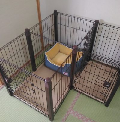 子犬のサークルを買いました おすすめ 配置 値段など 子犬を迎える6日前